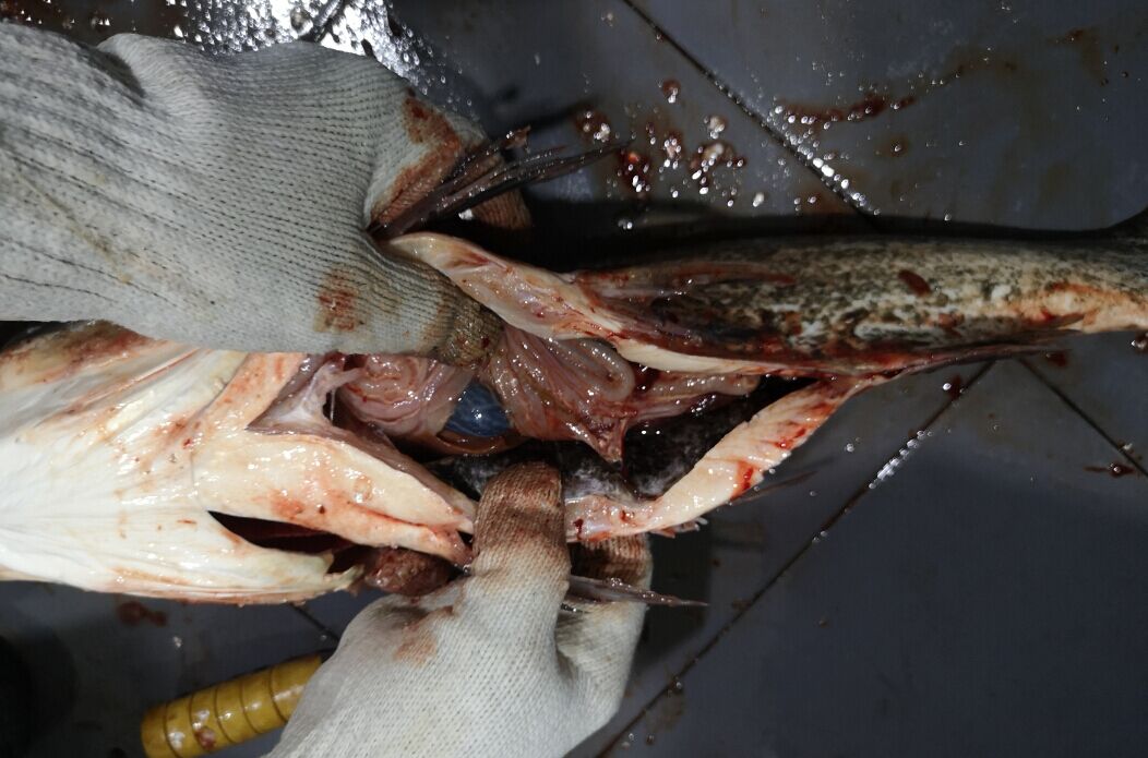 5cbaaf4a66409.jpg 5cbaaf4a66409.jpg