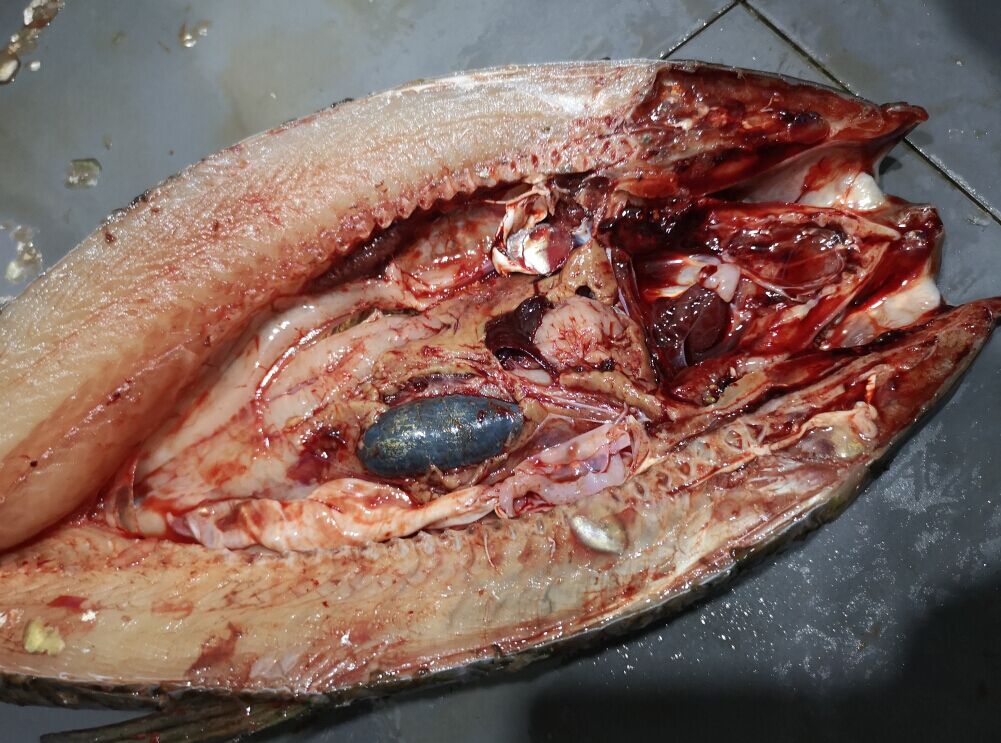 5ce7b92e12938.jpg 5ce7b92e12938.jpg