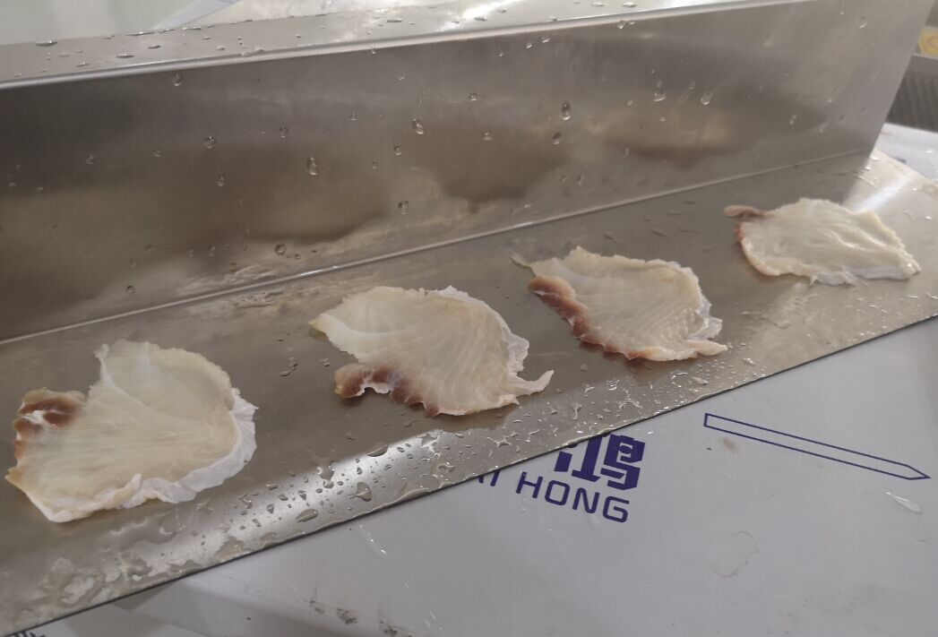 5cfe17f71ae04.jpg 5cfe17f71ae04.jpg