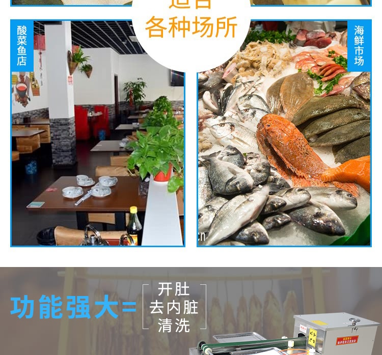 艾博馳ABCH-130L立式殺小魚機(去內(nèi)臟)5