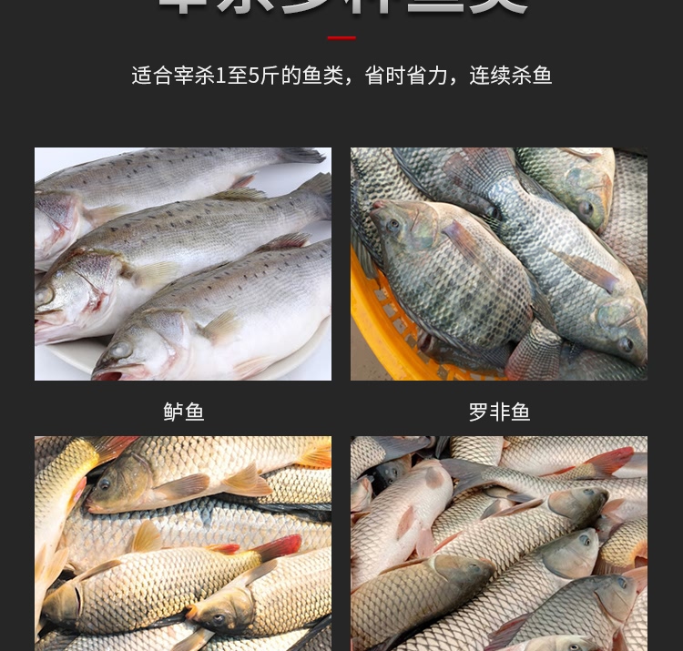 艾博馳ABCH-16D開肚/開背殺魚機(jī)8