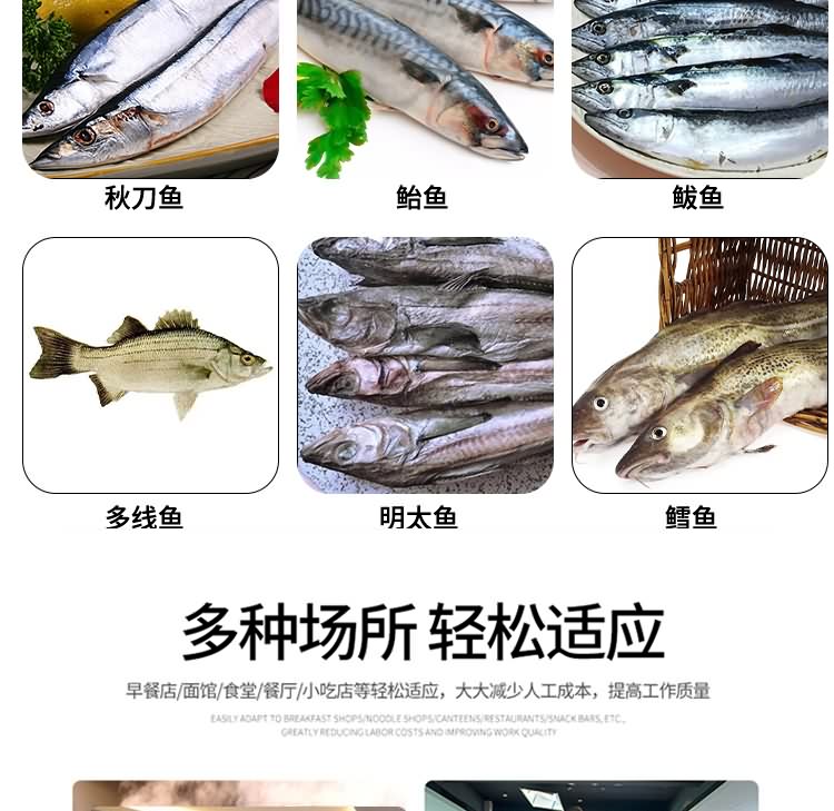 艾博馳ABCH-QT68去魚頭機(jī)10