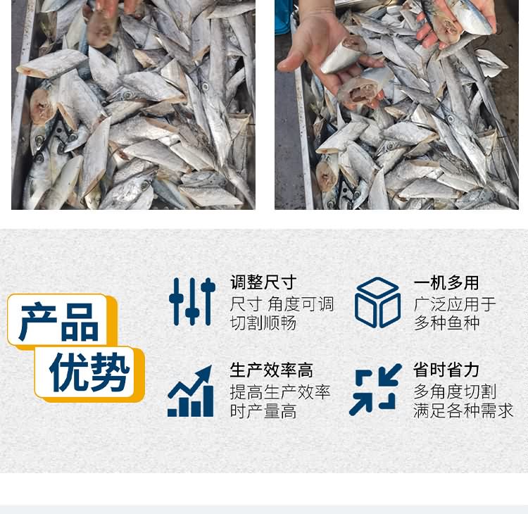 艾博馳ABCH-SQ69切魚段機(雙通道)9