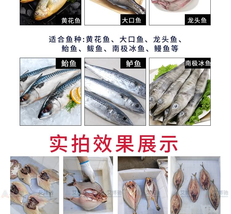 艾博馳ABCH-KP28小型二枚開片殺魚機(jī)5